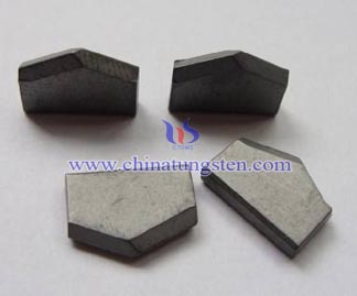 Tungsten Carbide Thread Inserts Picture